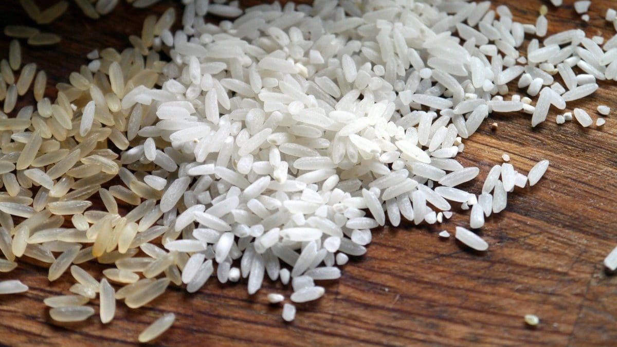 Rauwe rijstkorrels