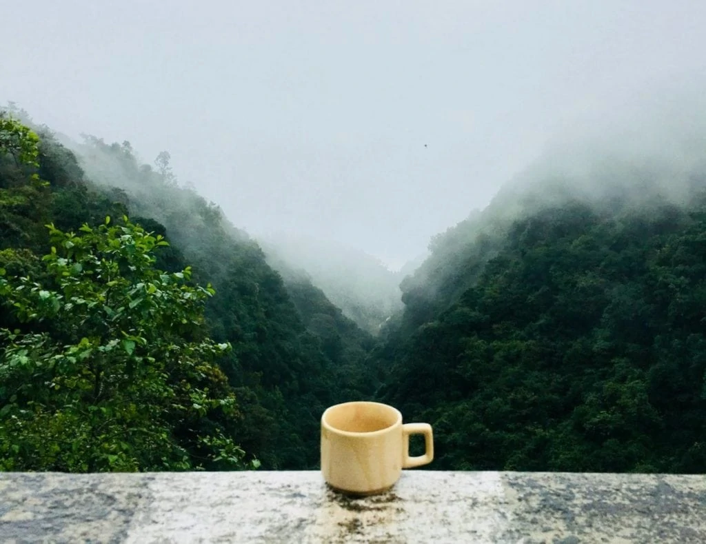 Koffie in mistige bergen