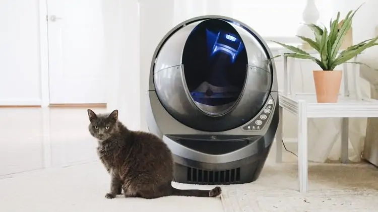 kat naast automatische zelfreinigende kattenbak