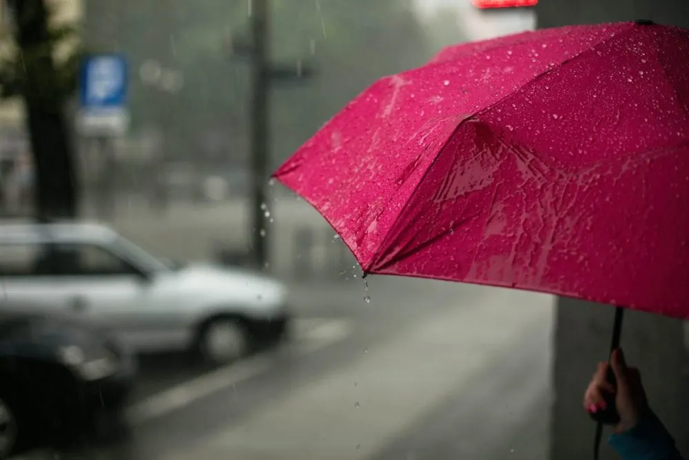 Rode paraplu in de regen met weg en geparkeerde auto op de achtergrond. Zij-aanzicht