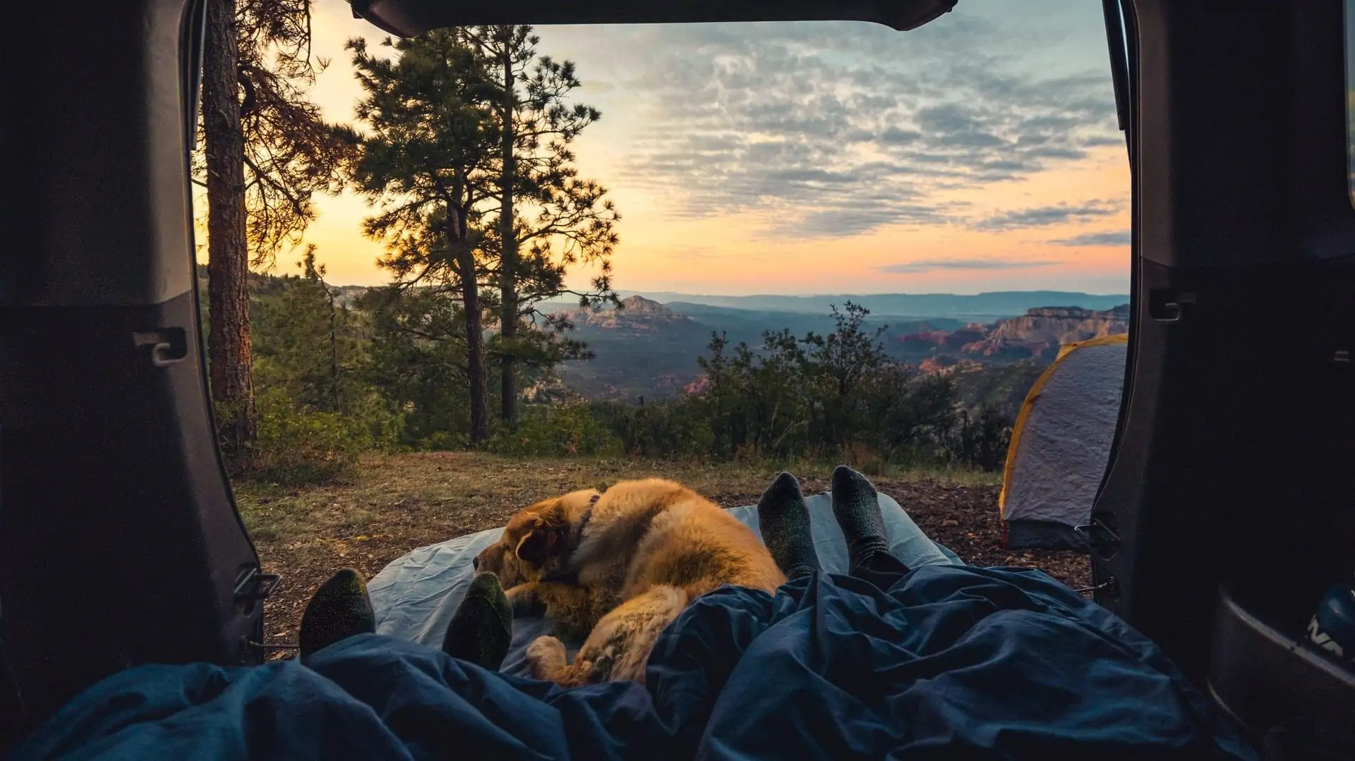 Twee mensen en een hond in een tent met uitzicht op de bergen. Vooraanzicht
