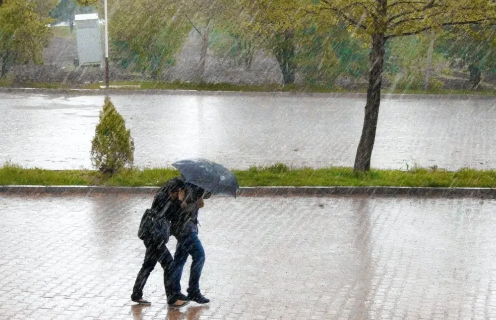 Twee mensen wandelen in de regen, onder de paraplu. Zij-aanzicht