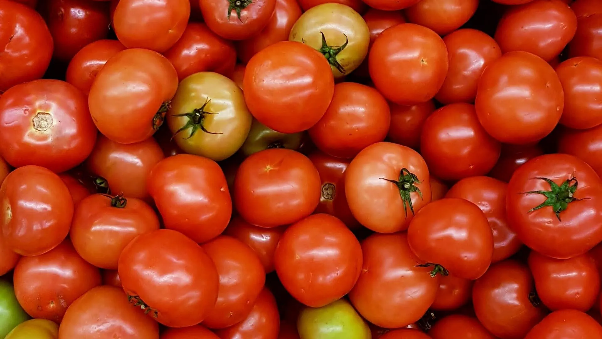 Rode en geel groene tomaten